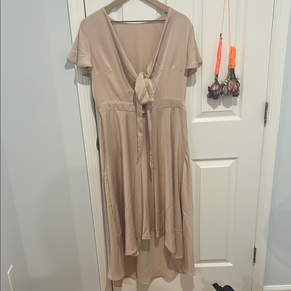 Elegant Tan Dress